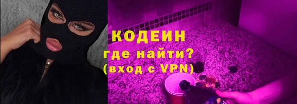 МДПВ Бородино