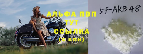 МДПВ Бородино