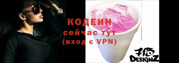 МДПВ Бородино