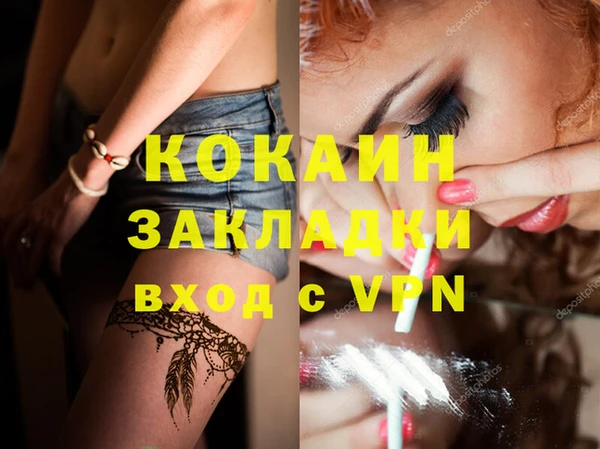 МДПВ Бородино