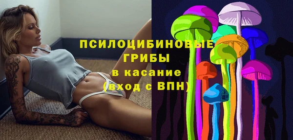 МДПВ Бородино