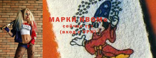 МДПВ Бородино