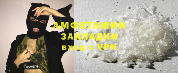 МДПВ Бородино