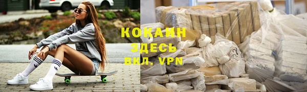 МДПВ Бородино