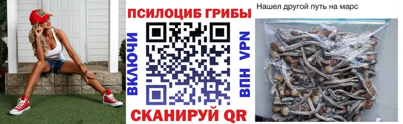 Купить где  Гусев  Псилоцибиновые грибы ЛСД 